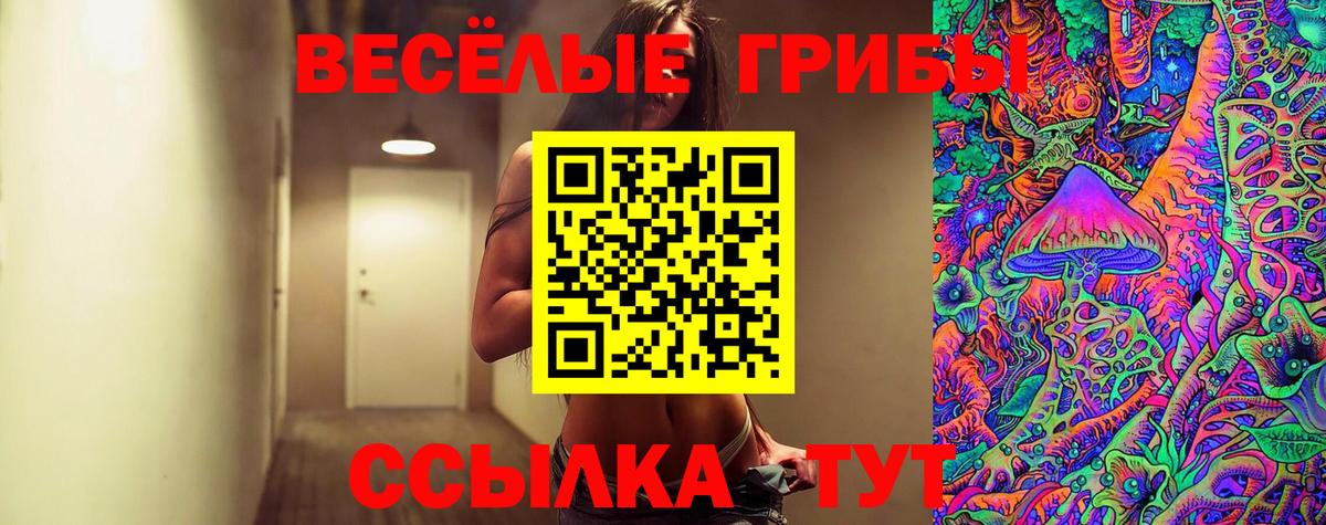 Псилоцибиновые грибы Magic Shrooms  Галлюциногенные грибы Magic Shrooms  Вход с VPN  Астрахань 